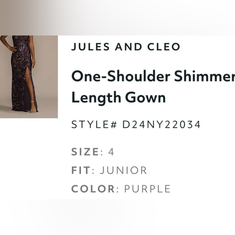 Formal/Holiday Dress